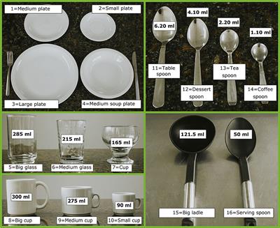 Development and Usability Study of an Open-Access Interviewer-Administered Automated 24-h Dietary Recall Tool in Argentina: MAR24